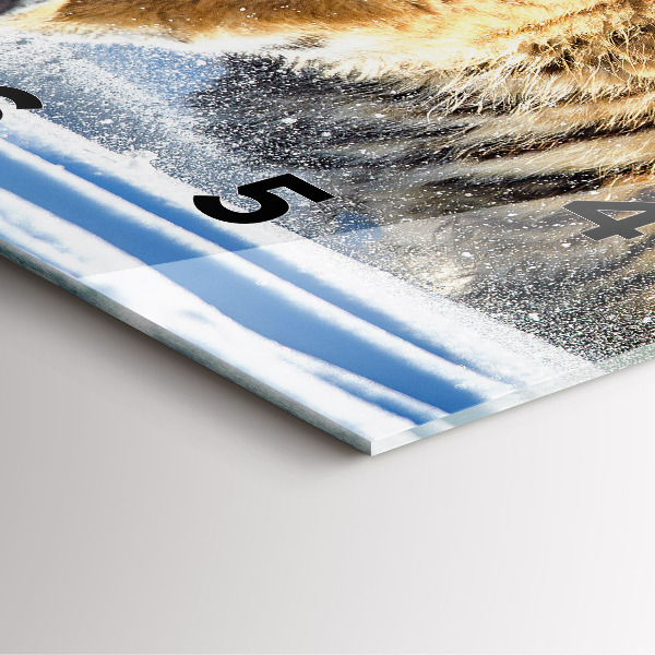 Szögletes fali üvegóra Bátor lépés előre