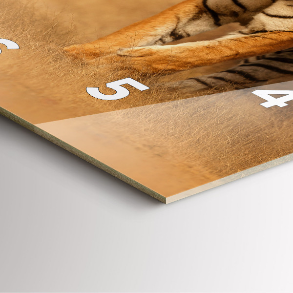 Szögletes fali üvegóra Vadásztigris