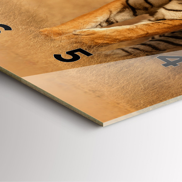 Szögletes fali üvegóra Vadásztigris