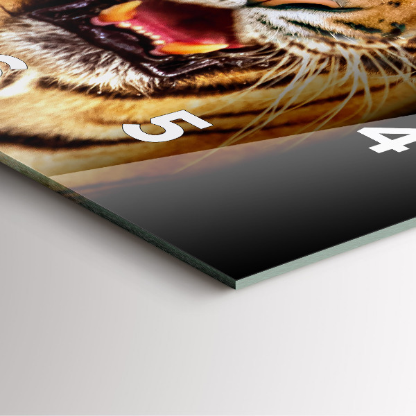 Szögletes fali üvegóra Tigris - vad megjelenés