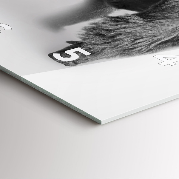 Szögletes fali üvegóra Állatművészeti gyűjtemény