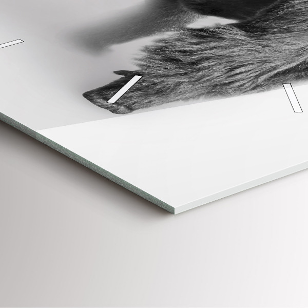 Szögletes fali üvegóra Állatművészeti gyűjtemény