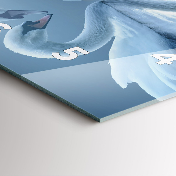 Szögletes fali üvegóra Hattyúk a szívben