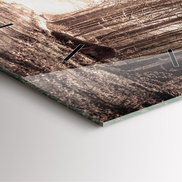 Szögletes fali üvegóra Erdei ösvény szépia