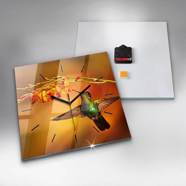 Szögletes fali üvegóra Kolibri madár