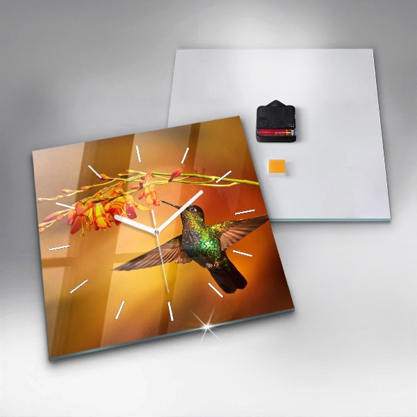 Szögletes fali üvegóra Kolibri madár