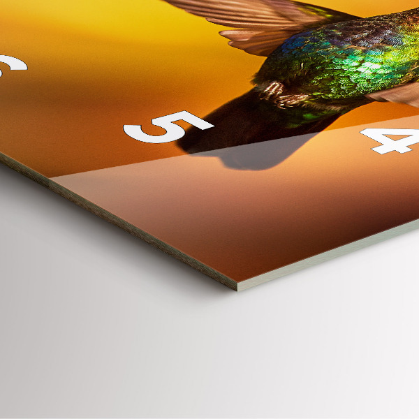 Szögletes fali üvegóra Kolibri madár