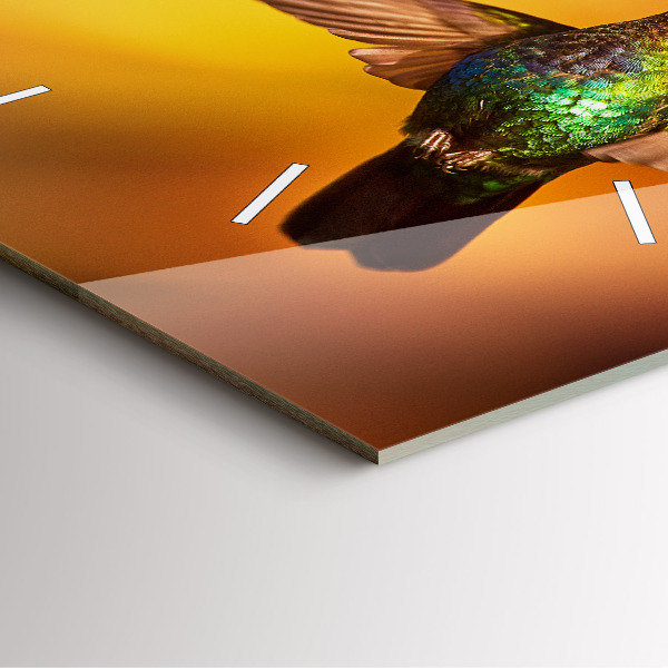 Szögletes fali üvegóra Kolibri madár