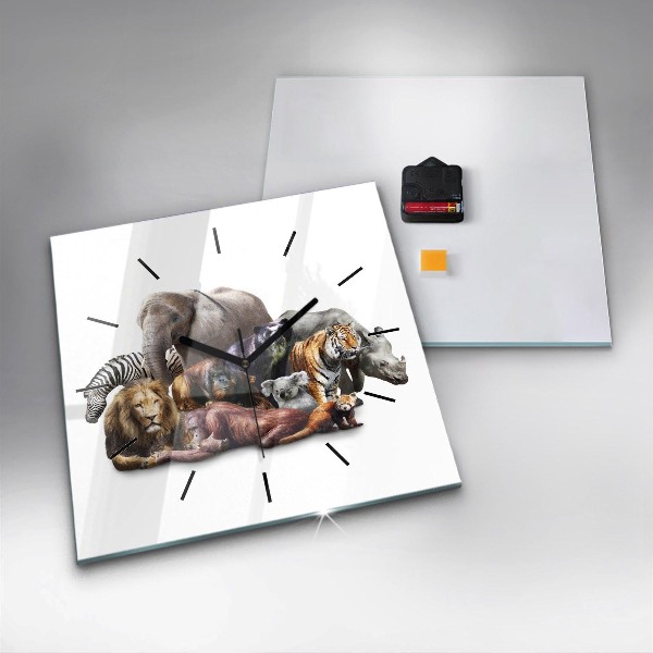 Szögletes fali üvegóra Vadon élő állatok