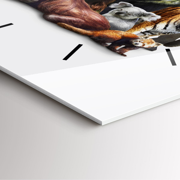 Szögletes fali üvegóra Vadon élő állatok