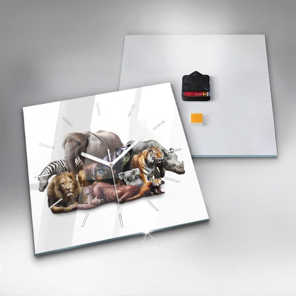Szögletes fali üvegóra Vadon élő állatok