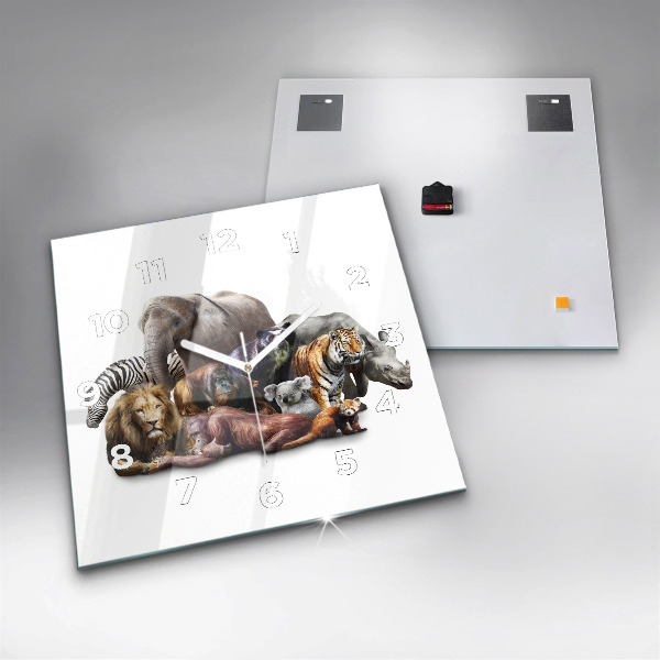 Szögletes fali üvegóra Vadon élő állatok