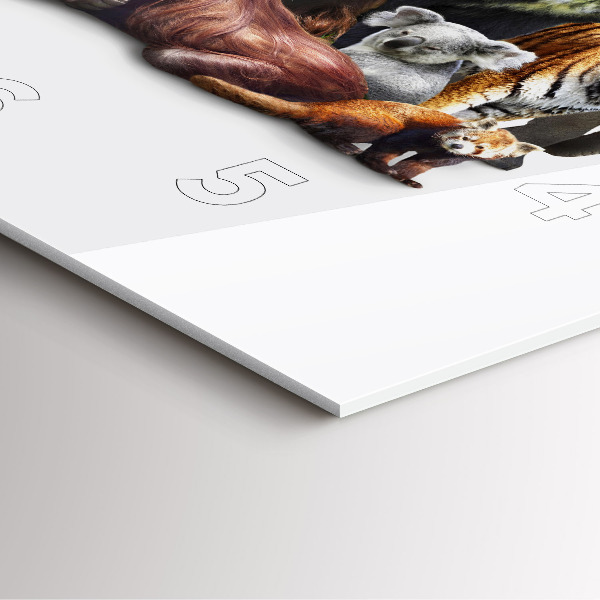 Szögletes fali üvegóra Vadon élő állatok