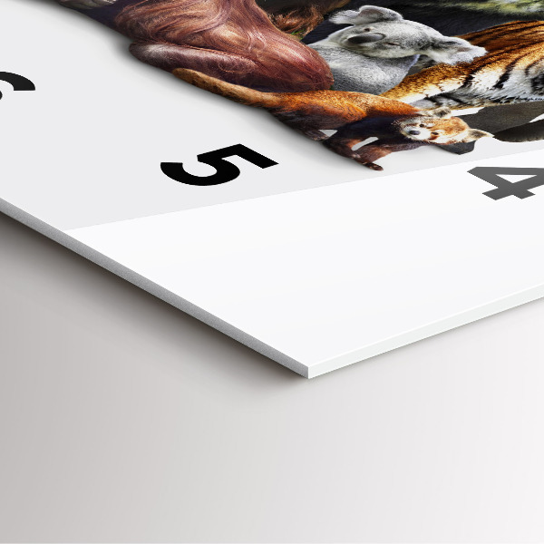 Szögletes fali üvegóra Vadon élő állatok