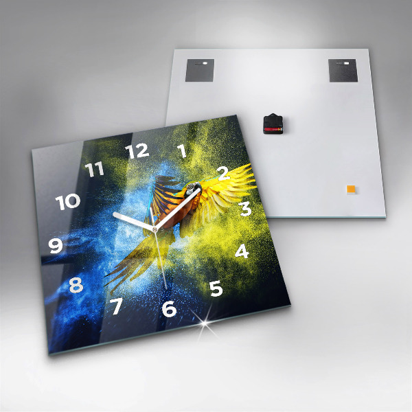 Szögletes fali üvegóra Színes papagáj