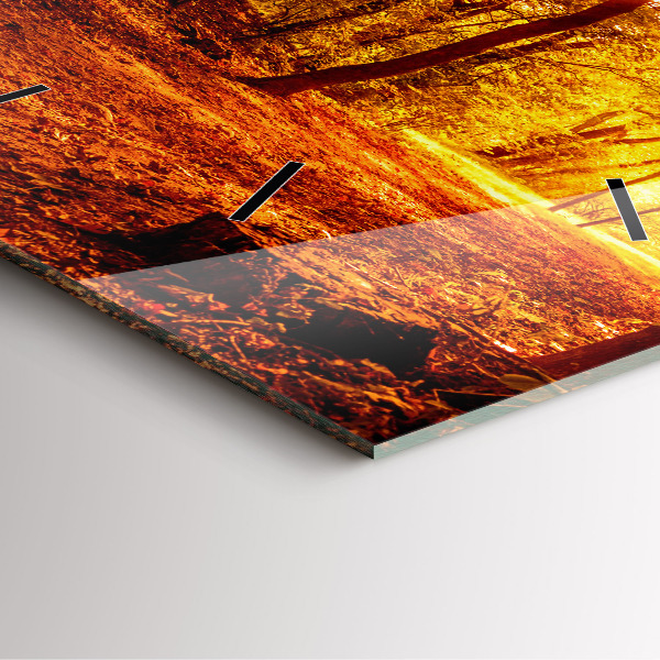 Szögletes fali üvegóra Erdei táj a napon