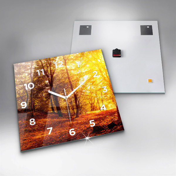 Szögletes fali üvegóra Erdei táj a napon