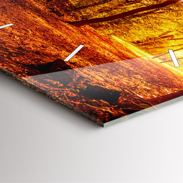 Szögletes fali üvegóra Erdei táj a napon