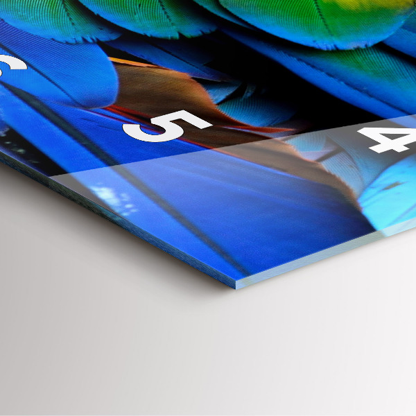 Szögletes fali üvegóra Színes madárszárnyak