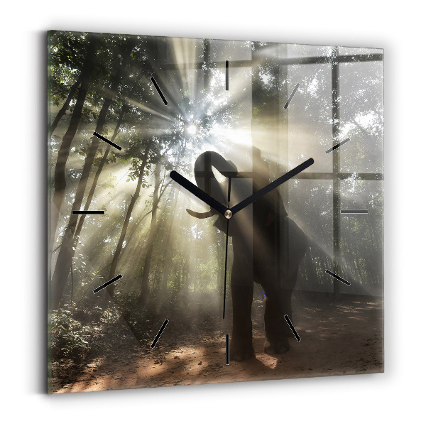 Szögletes fali üvegóra Elefánt a dzsungelben