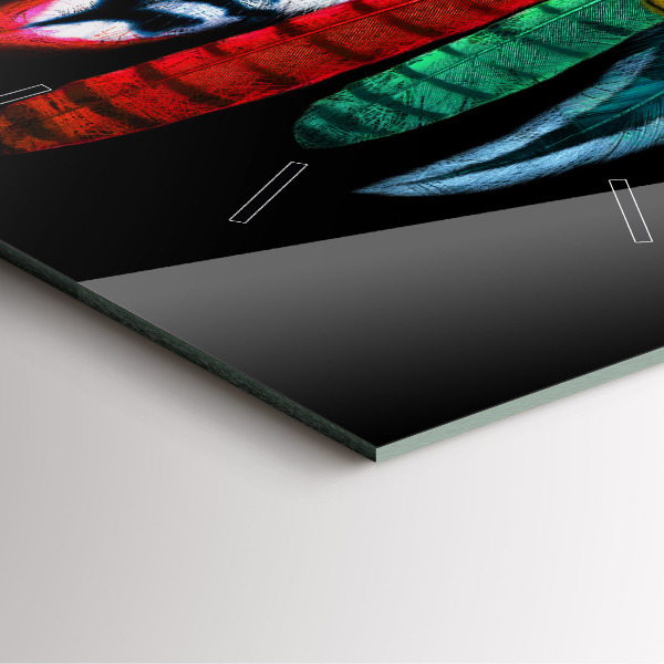 Szögletes fali üvegóra Színes madártollak