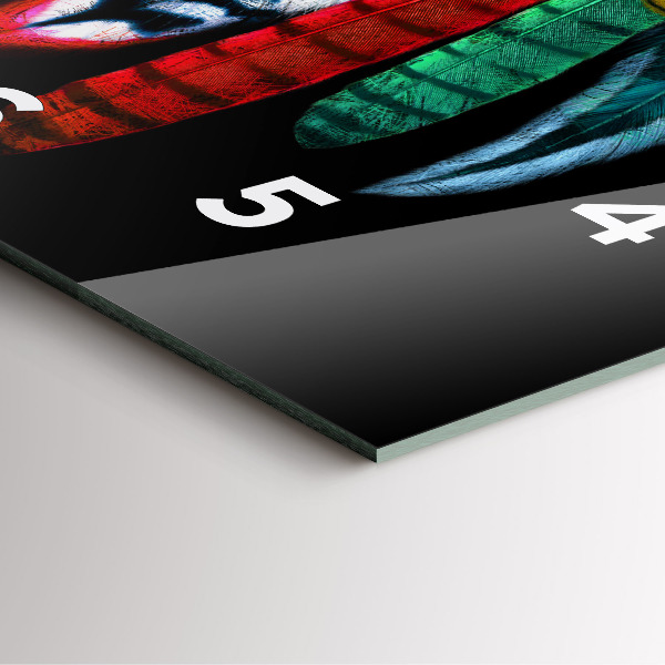 Szögletes fali üvegóra Színes madártollak