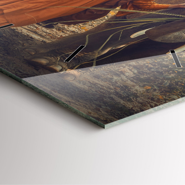 Szögletes fali üvegóra Szerzetes vezető elefánt