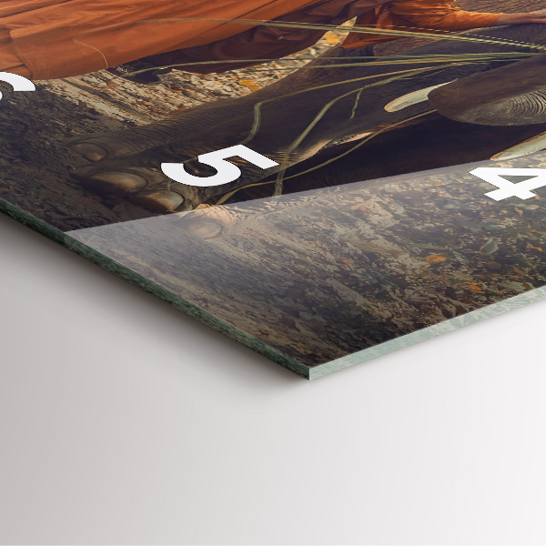 Szögletes fali üvegóra Szerzetes vezető elefánt