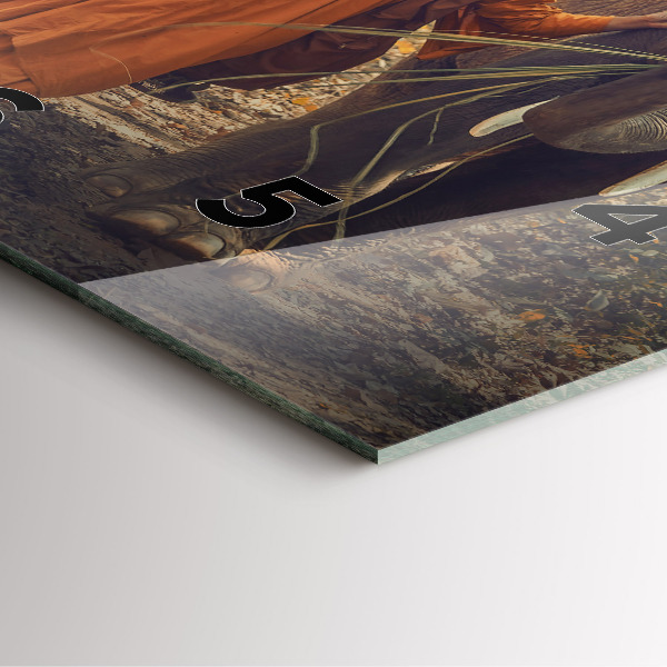 Szögletes fali üvegóra Szerzetes vezető elefánt