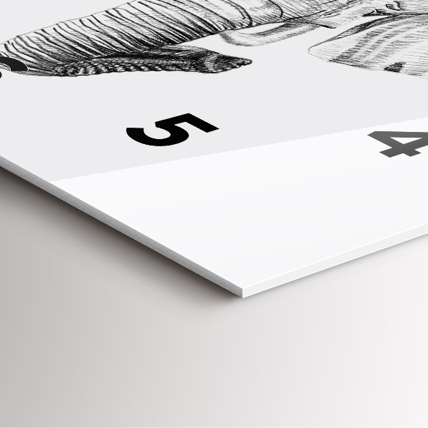 Szögletes fali üvegóra Grafikus elefántfej