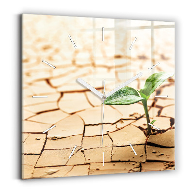 Szögletes fali üvegóra Száraz talajba ültessük