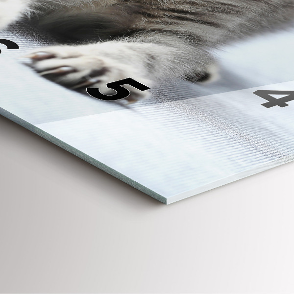 Szögletes fali üvegóra Macska a kanapén