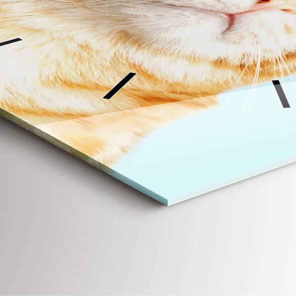 Szögletes fali üvegóra Vicces macska szemüveggel