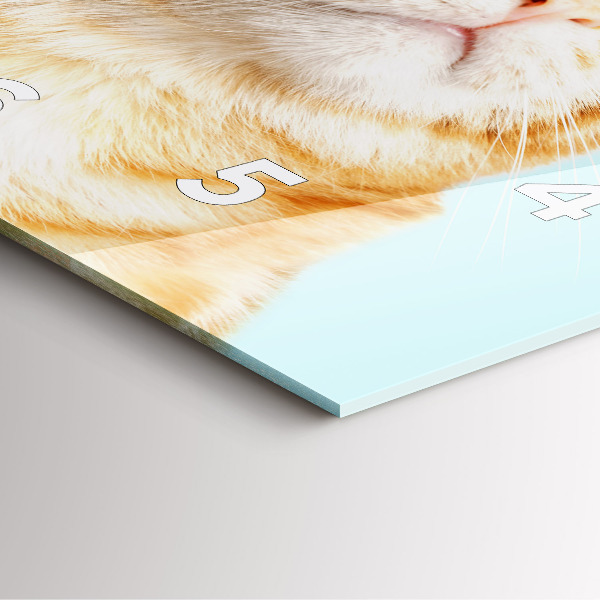 Szögletes fali üvegóra Vicces macska szemüveggel