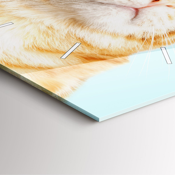 Szögletes fali üvegóra Vicces macska szemüveggel