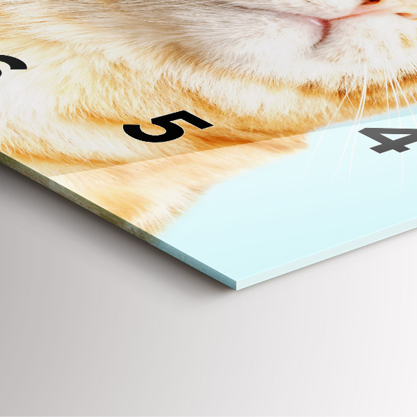 Szögletes fali üvegóra Vicces macska szemüveggel