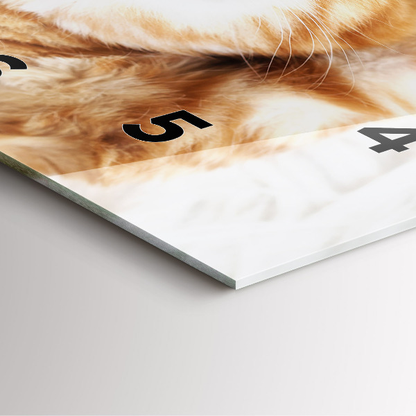 Szögletes fali üvegóra Alvó kis cica