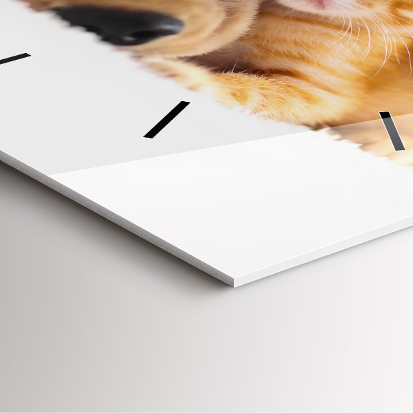 Szögletes fali üvegóra Alvó macska és kutya