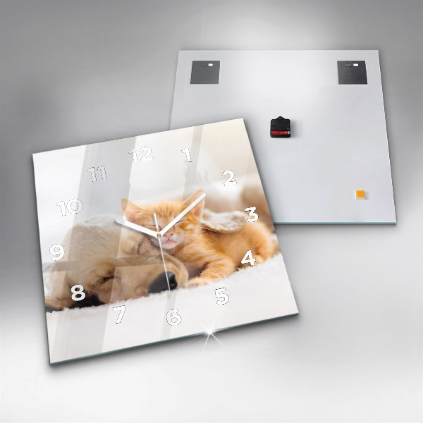 Szögletes fali üvegóra Alvó macska és kutya