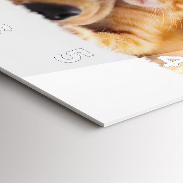 Szögletes fali üvegóra Alvó macska és kutya