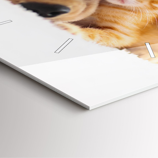 Szögletes fali üvegóra Alvó macska és kutya