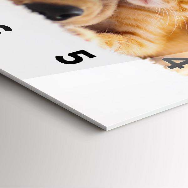 Szögletes fali üvegóra Alvó macska és kutya