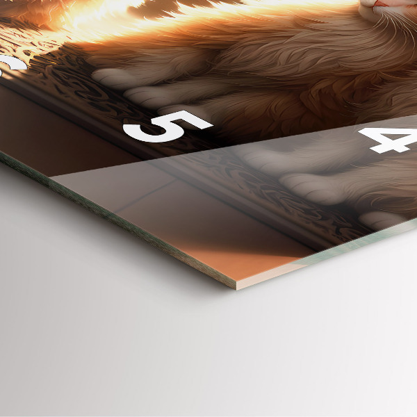 Szögletes fali üvegóra Négy cica a napon