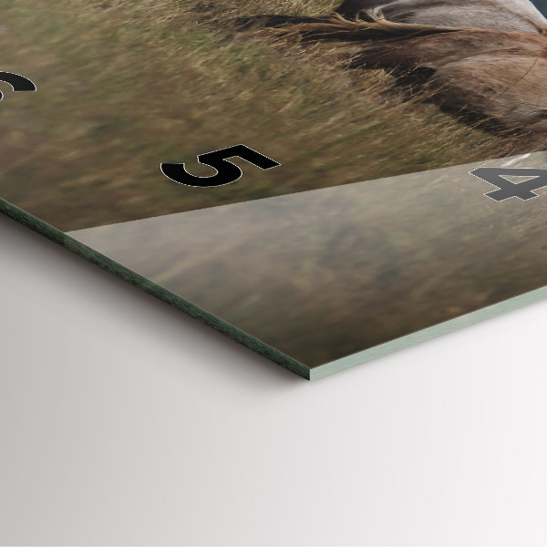 Szögletes fali üvegóra Lovak vágtában