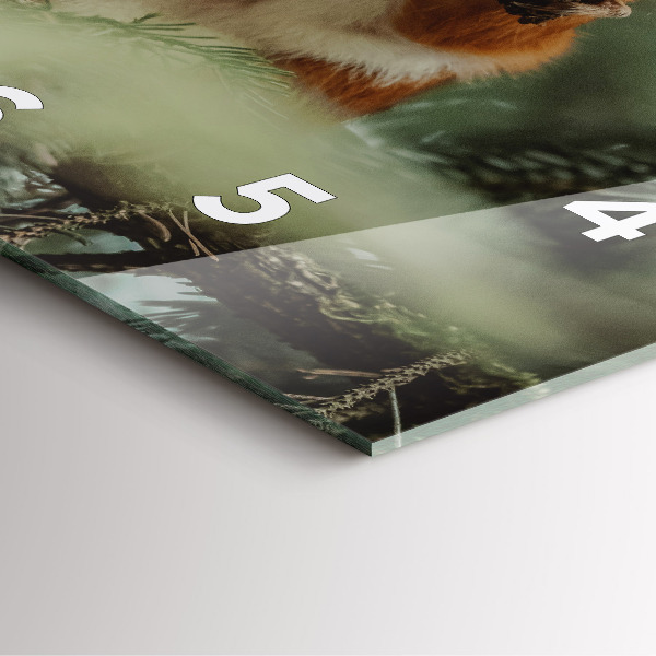 Szögletes fali üvegóra Mókus és vad természet