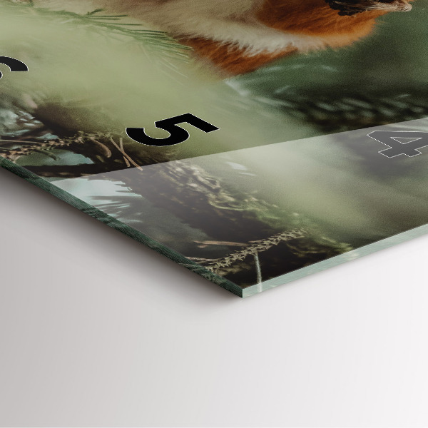 Szögletes fali üvegóra Mókus és vad természet