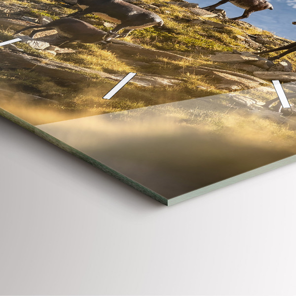 Szögletes fali üvegóra Kecske az Aosta-völgyben