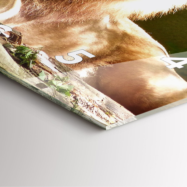 Szögletes fali üvegóra Oroszlán portréja