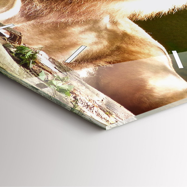 Szögletes fali üvegóra Oroszlán portréja