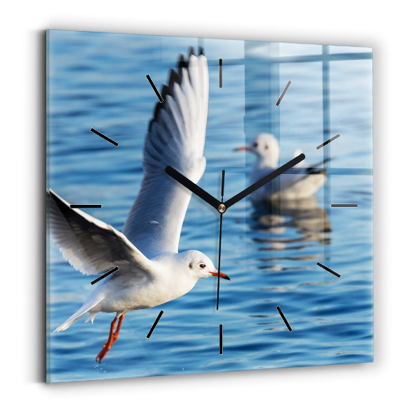 Szögletes fali üvegóra Sirályok Gdyniában